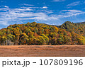 尾瀬国立公園風景 107809196