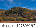 尾瀬国立公園風景 107809197