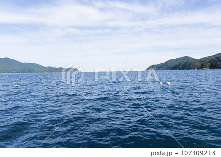 養殖ホタテが育つ三陸の綺麗な海 107809213