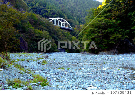 神ノ川の広河原からヒワタ橋の白い欄干を見る 神ノ川の広河原からヒワタ橋の白い欄干を見る 107809431