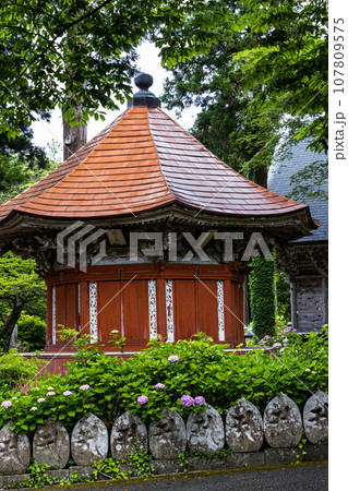 【新潟県･佐渡･蓮華峰寺】7,000株の紫陽花が咲くアジサイ寺 6月 7月 107809575
