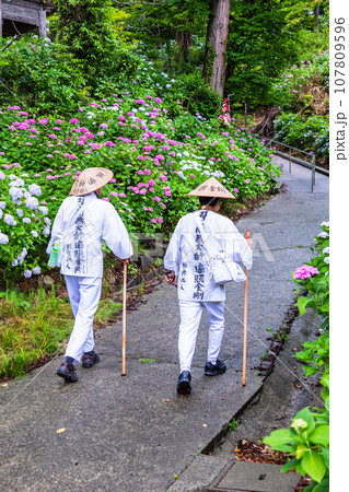 【新潟県･佐渡･蓮華峰寺】7,000株の紫陽花が咲くアジサイ寺 6月 7月 107809596