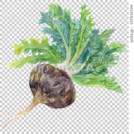 Black maca diagonal with watercolor leaves 107810104