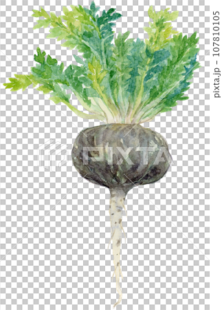 black maca with watercolor leaves black maca with watercolor leaves 107810105