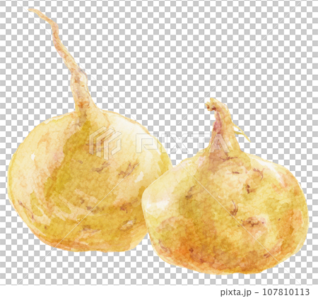 水彩兩白瑪咖 107810113