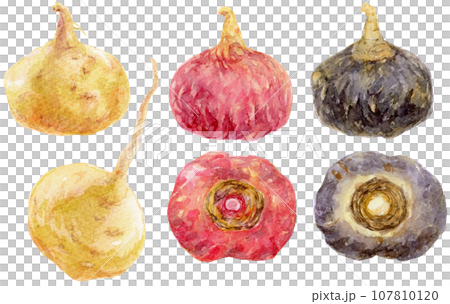 Collection of maca materials in 3 watercolor colors 107810120