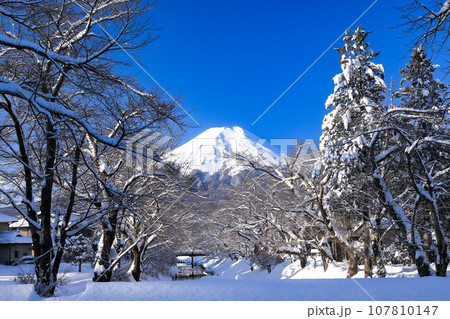 冬の富士山 雪景色の忍野 山梨県忍野村 冬の富士山 雪景色の忍野 山梨県忍野村 107810147