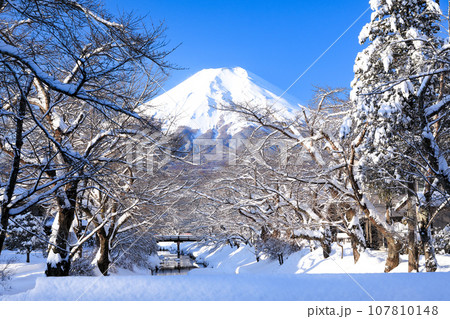 冬の富士山 雪景色の忍野 山梨県忍野村 冬の富士山 雪景色の忍野 山梨県忍野村 107810148