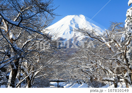冬の富士山 雪景色の忍野 山梨県忍野村 冬の富士山 雪景色の忍野 山梨県忍野村 107810149