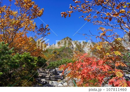 青空バックに紅葉越しに見る宝剣岳の雄姿 青空バックに紅葉越しに見る宝剣岳の雄姿 107811460