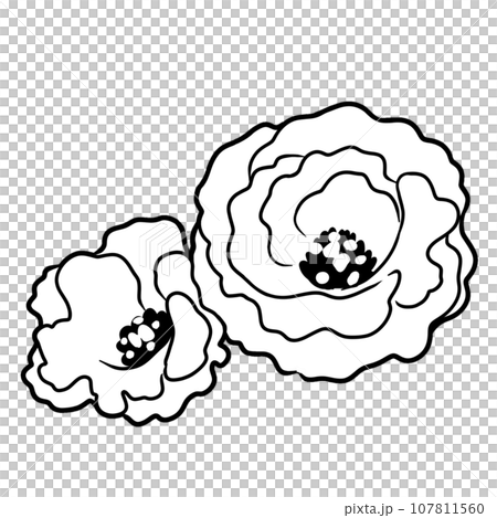 トルコキキョウの花のイラスト 107811560