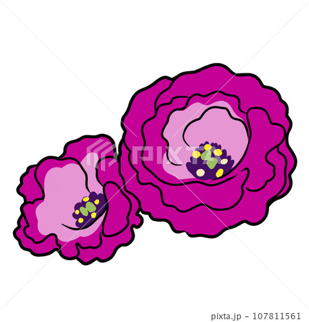 トルコキキョウの花のイラスト 107811561