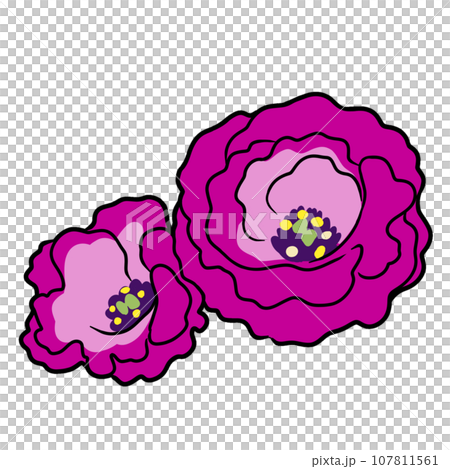 トルコキキョウの花のイラスト 107811561