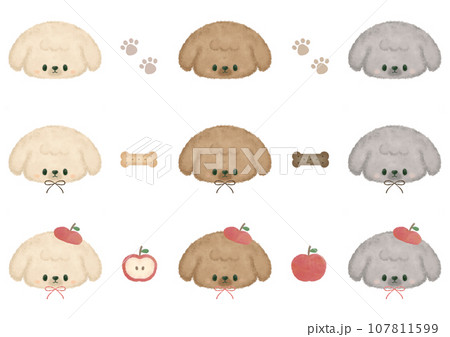 ふんわりかわいいトイプードルのセット① ふんわりかわいいトイプードルのセット① 107811599