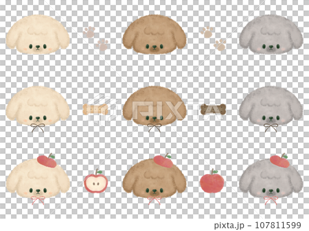 ふんわりかわいいトイプードルのセット① ふんわりかわいいトイプードルのセット① 107811599