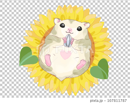 hamster and sunflower 107811787