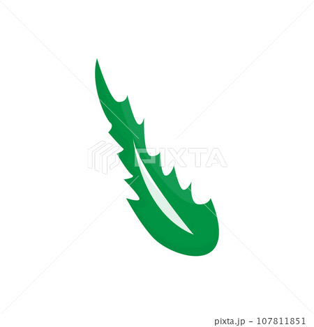 Aloe Vera Logo, Green Plant Health Design, Vector Illustration Symbol 107811851