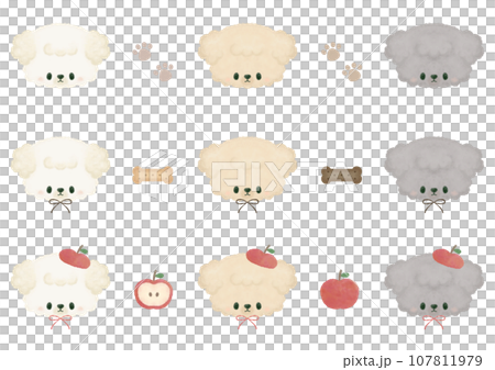 ふんわりかわいいマルプーのセット① ふんわりかわいいマルプーのセット① 107811979