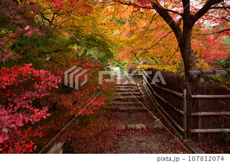 直指庵の紅葉 直指庵の紅葉 107812074