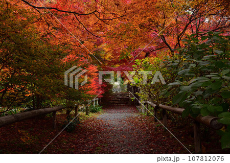 直指庵の紅葉 直指庵の紅葉 107812076