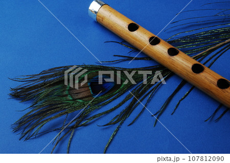 Peacock feather 107812090