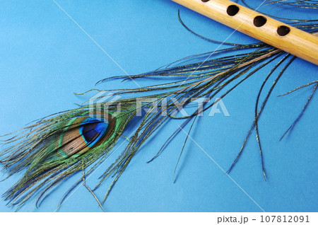 Peacock feather 107812091