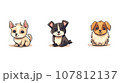 cute dogs with different types of dogs 107812137