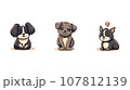 cute dogs in different angles, vector illustration 107812139