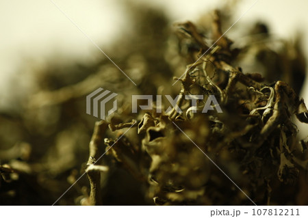 Dryed Ayurvedic leaves texture closeup 107812211