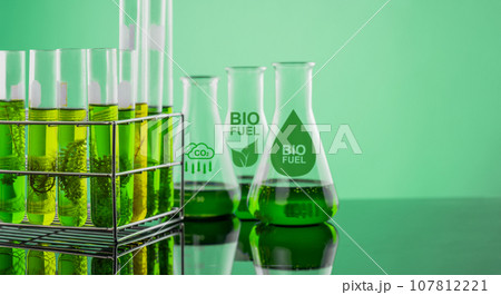 Algae fuel biofuel industry lab researching for bio-aviation fuel (BAF) to be a sustainable aviation fuel (SAF) 107812221