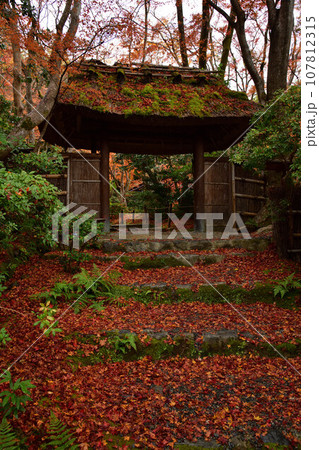 祇王寺の紅葉 祇王寺の紅葉 107812315