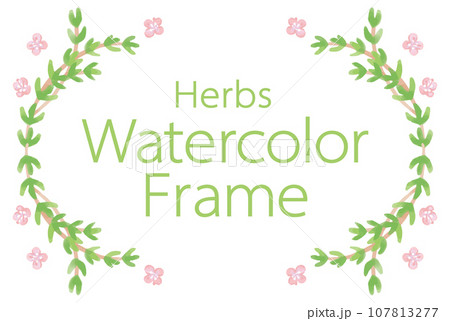 アロマに使われるハーブ・植物のイラスト・フレーム。ベクター素材 107813277
