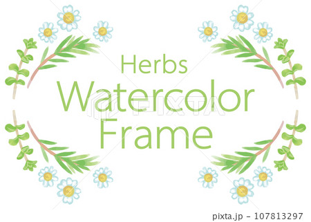 アロマに使われるハーブ・植物のイラスト・フレーム。ベクター素材 アロマに使われるハーブ・植物のイラスト・フレーム。ベクター素材 107813297