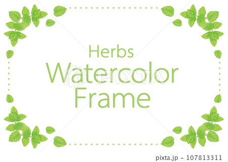 アロマに使われるハーブ・植物のイラスト・フレーム。ベクター素材 107813311