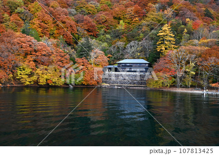 奥日光中禅寺湖畔 英国大使館別荘の紅葉 107813425