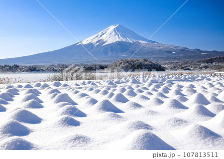 冬 雪のラベンダー畑と富士山の風景 河口湖大石公園 冬 雪のラベンダー畑と富士山の風景 河口湖大石公園 107813511
