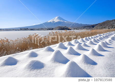 冬 雪のラベンダー畑と富士山の風景 河口湖大石公園 冬 雪のラベンダー畑と富士山の風景 河口湖大石公園 107813580