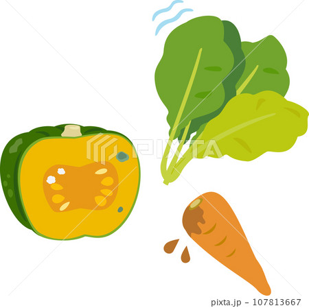 萎れたりカビが生えたりした野菜 萎れたりカビが生えたりした野菜 107813667