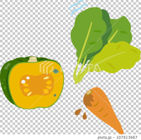 萎れたりカビが生えたりした野菜 萎れたりカビが生えたりした野菜 107813667