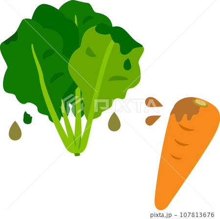 傷んでドロドロになった野菜 傷んでドロドロになった野菜 107813676