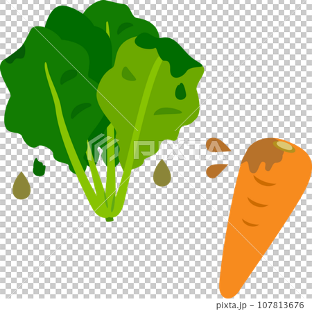 傷んでドロドロになった野菜 傷んでドロドロになった野菜 107813676