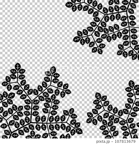 木の葉と枝のシルエットイラスト 107813679