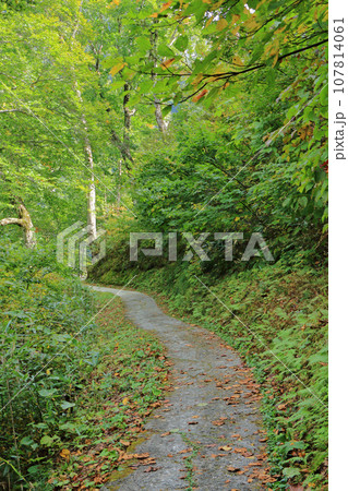 黒部湖畔遊歩道 黒部湖畔遊歩道 107814061