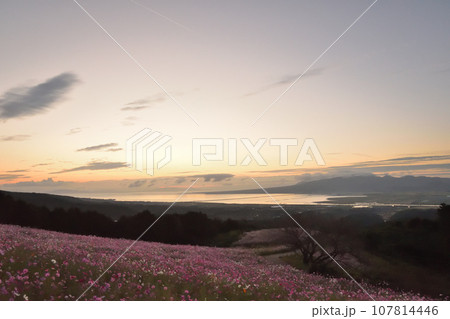 早朝の白木峰高原 早朝の白木峰高原 107814446