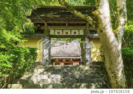 寂光院 山門 石段の参道(京都府京都市左京区大原) 寂光院 山門 石段の参道(京都府京都市左京区大原) 107816158