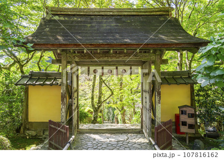 寂光院　山門（京都府京都市左京区大原） 107816162