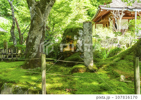寂光院 汀の池(京都府京都市左京区大原) 寂光院 汀の池(京都府京都市左京区大原) 107816170