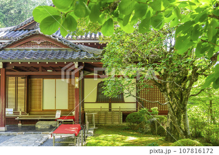 寂光院　書院（京都府京都市左京区大原） 107816172
