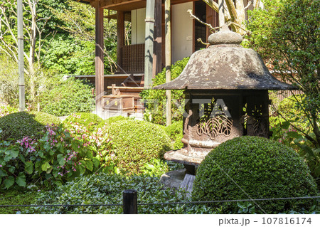 寂光院　雪見燈籠（京都府京都市左京区大原） 107816174