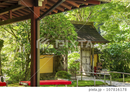 寂光院　山門（京都府京都市左京区大原） 107816178